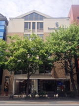 �T�E�X�T�C�h�e���X�O��